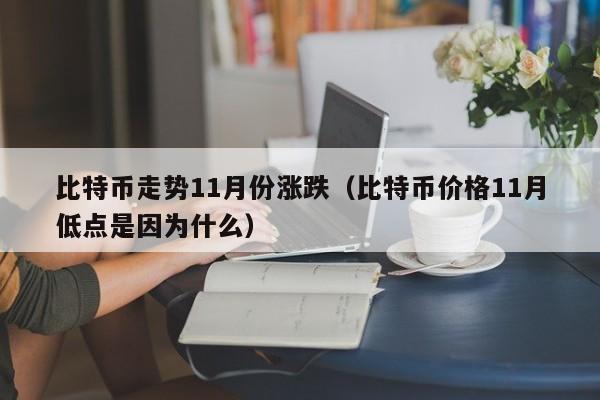 比特币走势11月份涨跌(比特币价格11月低点是因为什么)