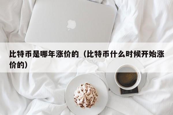 比特币是哪年涨价的(比特币什么时候开始涨价的)