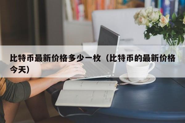比特币最新价格多少一枚(比特币的最新价格今天)