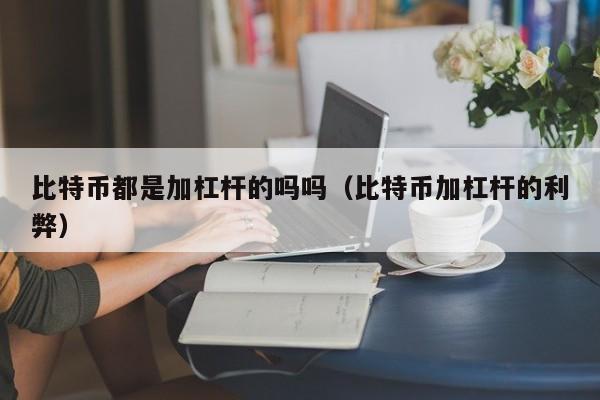 比特币都是加杠杆的吗吗(比特币加杠杆的利弊)