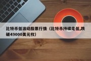 比特币低波动股票行情（比特币持续走低,跌破49000美元枚）