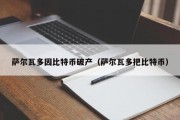 萨尔瓦多因比特币破产（萨尔瓦多把比特币）